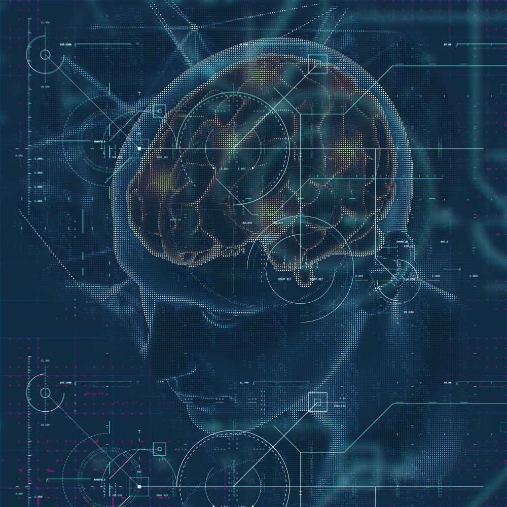 Gaboral-Neuroeconomía