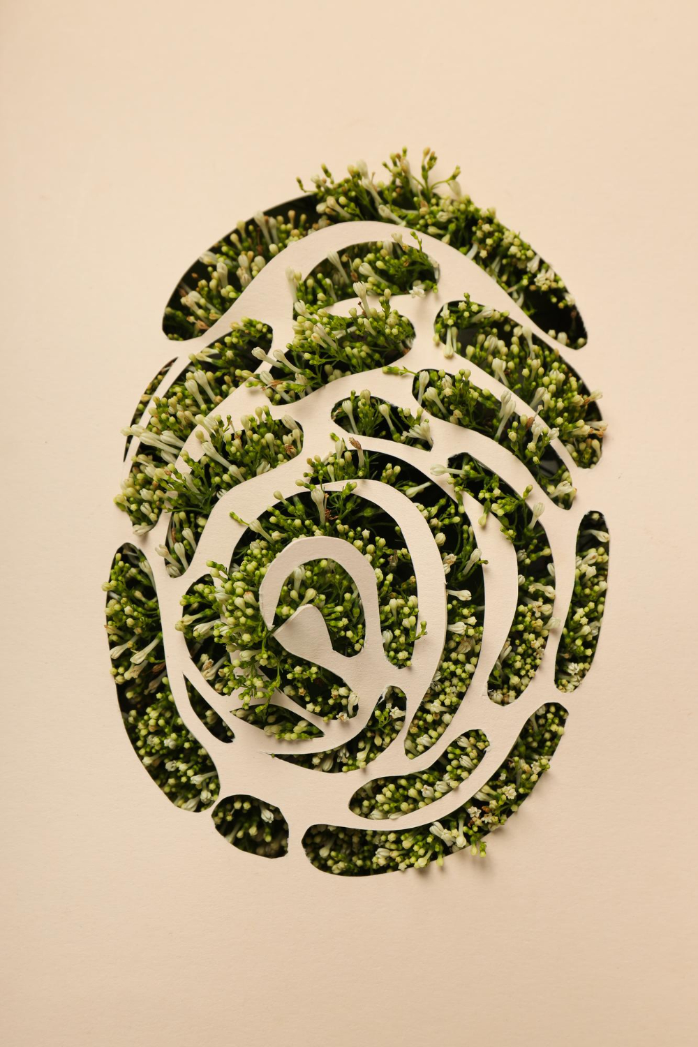 Curso de huella de carbono según ISO 14064