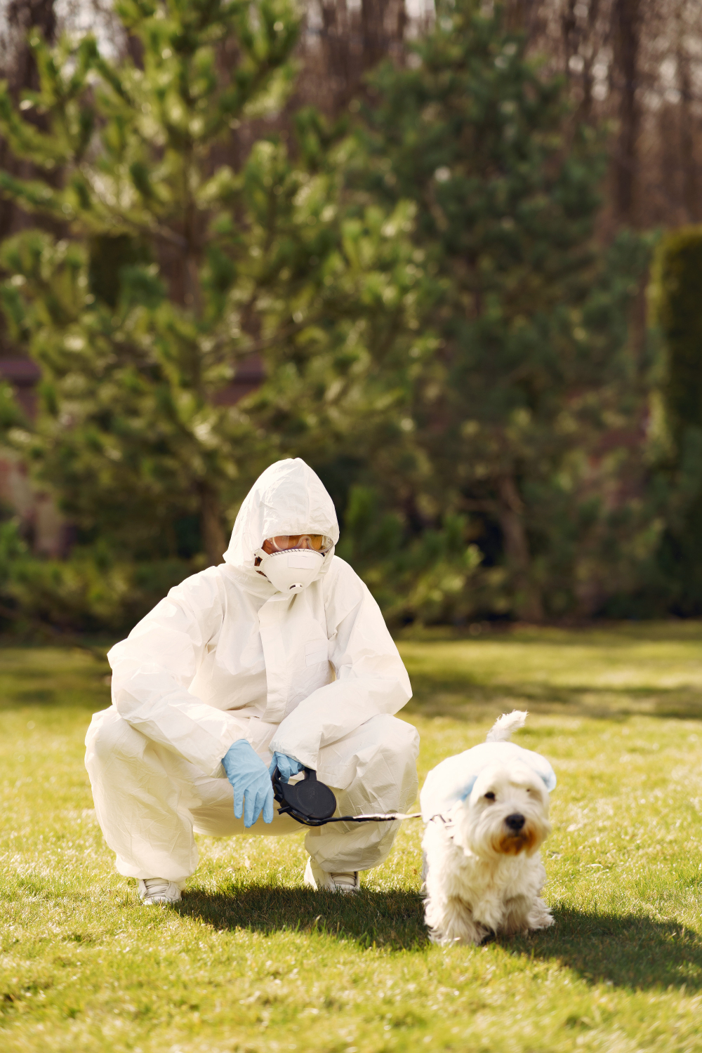 Biocidas para veterinaria